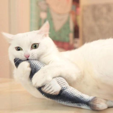 Kiki Moving Fish Cat Toy Cat Toys KittyNook
